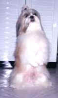 iRiR